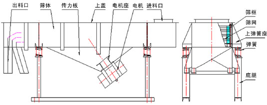 直線振動篩內(nèi)部結構：出料口，篩體，傳力板，上蓋，電機座，電機，進料口，篩框，篩網(wǎng)，上彈簧座，彈簧，底腿。